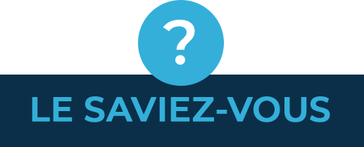 lesaviezvous