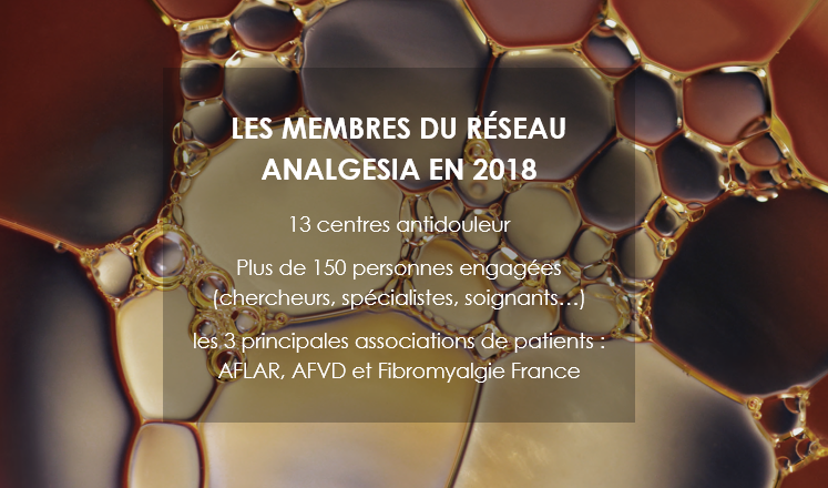 réseau ANALGESIA