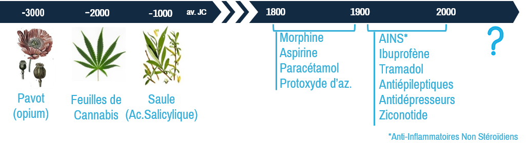 Frise Évolution des traitements antalgiques ANALGESIA