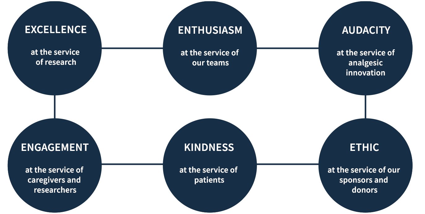 schemas_en values schemas_en values